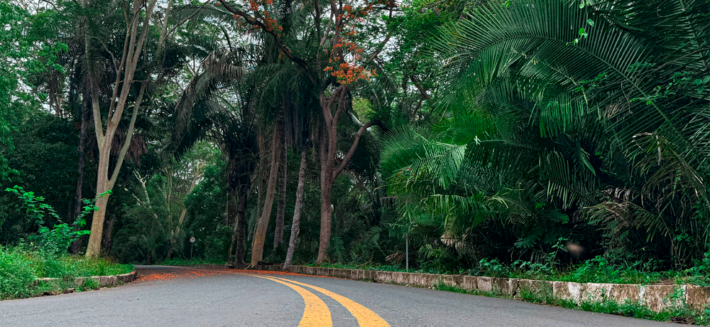 Ano novo, novos caminhos.